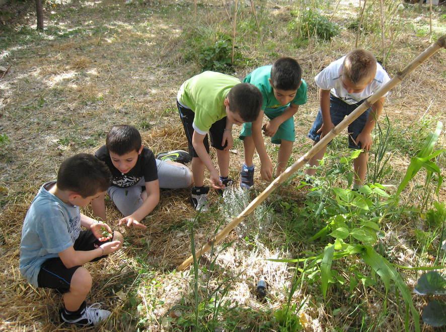 Gli alunni agricoltori a Sennori 