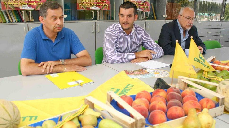 Frutta ferrarese in riva al mare
