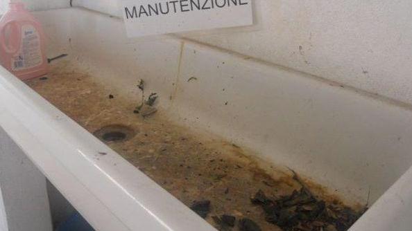 Fortini: nel cimitero aree di degrado