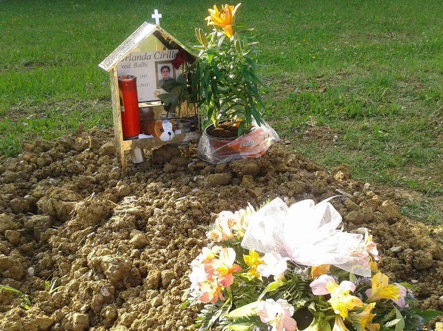 Sciacalli rubano tutti i fiori dalla tomba 