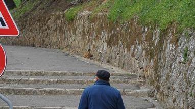 «Sbagliata la pianificazione per il restauro delle Mura»