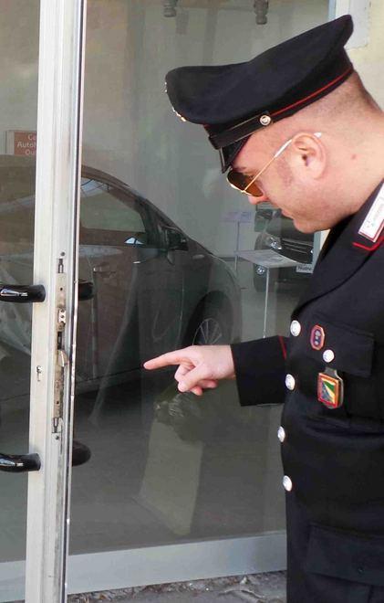 «Serve un progetto contro i ladri» 