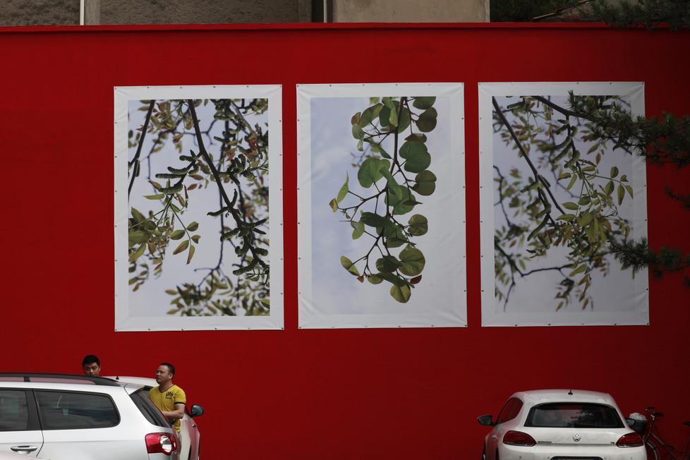 Arte, da Chinatown alla Triennale di Milano 