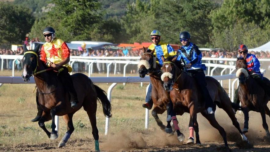 Palio di Fonni, bilancio più che positivo