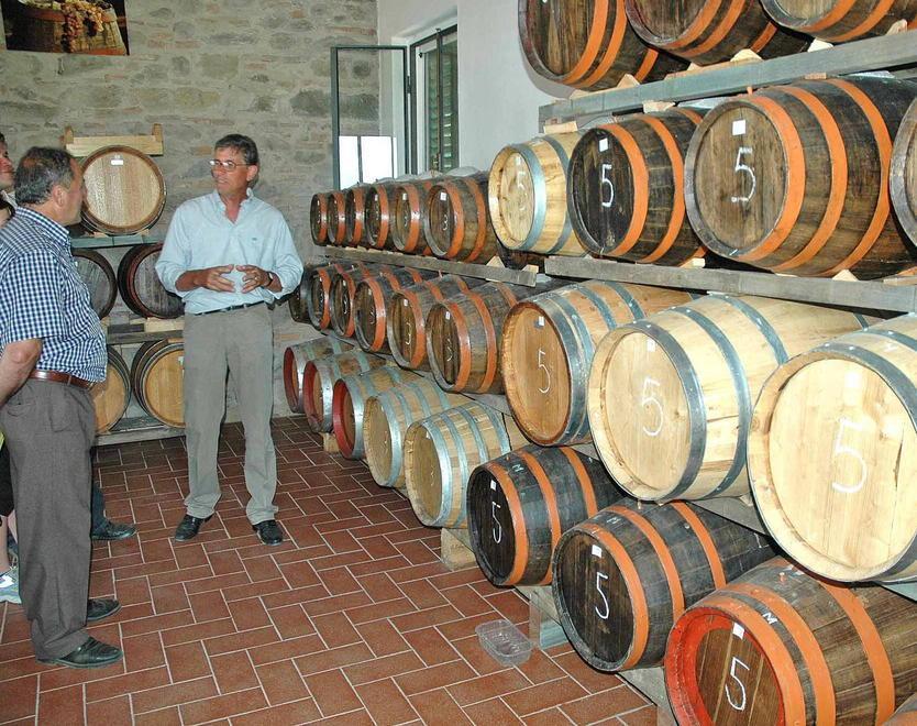 Calici di stelle a Cutigliano 