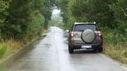 Strada invasa da rami e erbacce