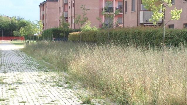 «Erba troppo alta, topi e zecche»