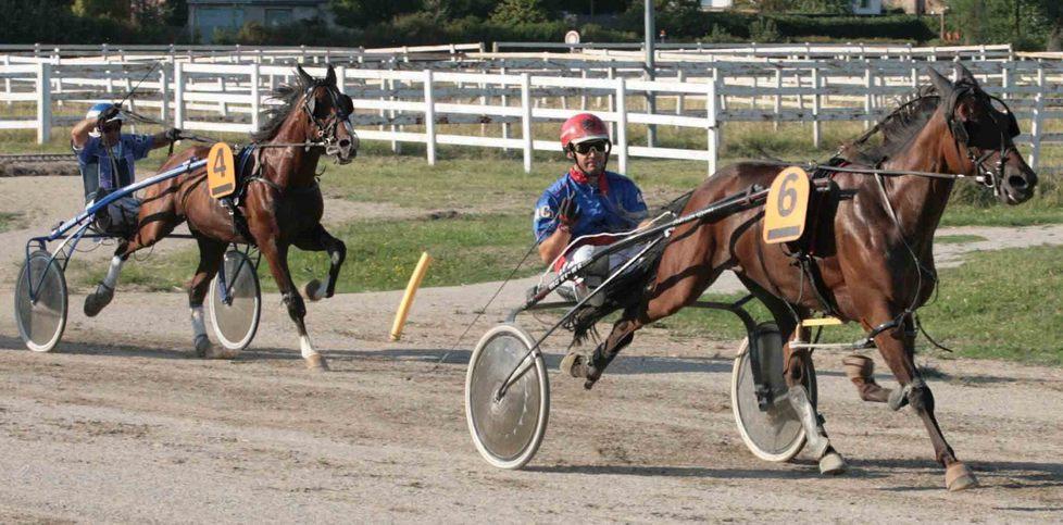 Domani all’ippodromo tornano le corse al trotto 