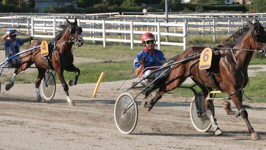 Domani all’ippodromo tornano le corse al trotto