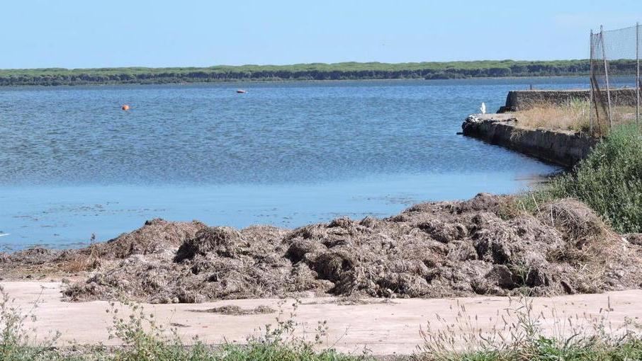 Sversamento d’olio in laguna Guardia Costiera in azione