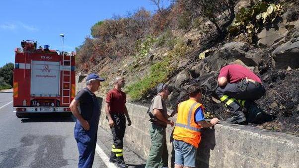 Ancora fiamme, il piromane è a quota 24