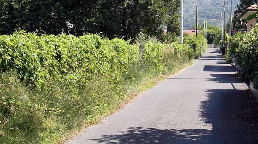 Famiglia assediata da topi e bisce 