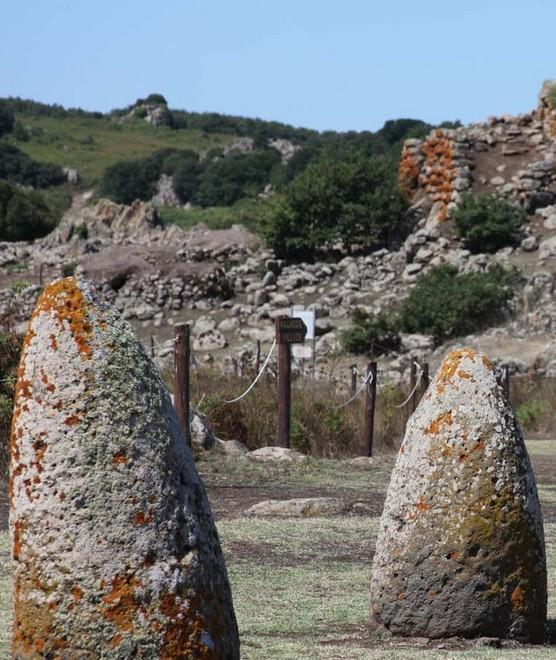 Magia di una notte nel parco di Tamuli 