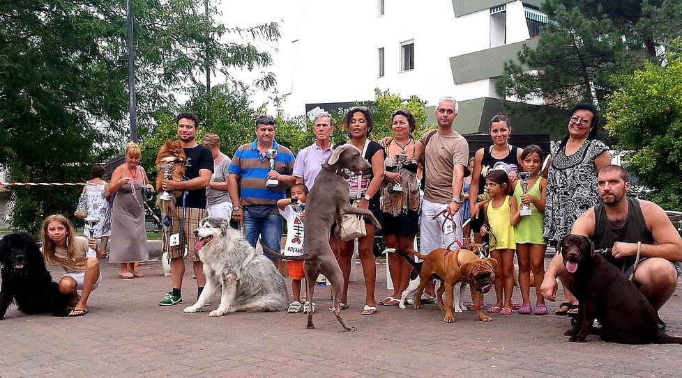 Con “star a 4 zampe” premi per tutti i cani