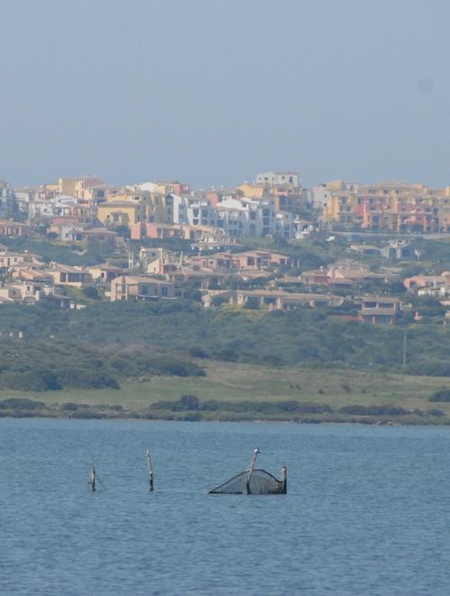 Dossier ambiente del Wwf, le mani sulle coste sarde: un saccheggio lungo 25 anni