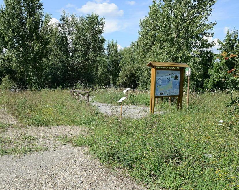 Chiusa per ferie e maltenuta, ecco la riserva di Arnovecchio a Empoli 