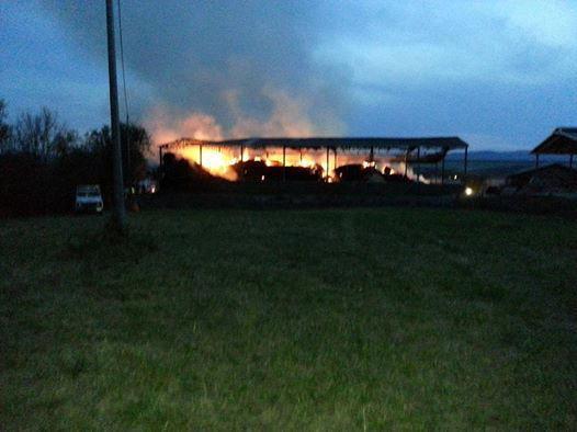 Incendio in un fienile, paura all’oasi. Allontanati i ragazzi e sospese le attività 
