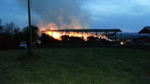Incendio in un fienile, paura all’oasi. Allontanati i ragazzi e sospese le attività