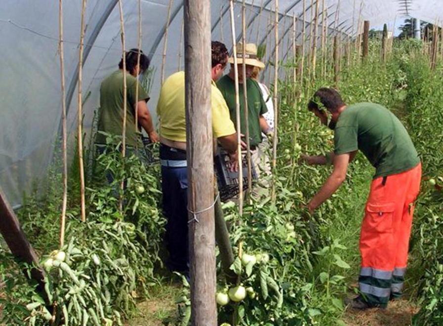 Arrivano i finanziamenti per negozi e artigianato 
