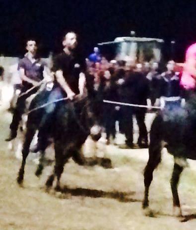 Dollaro di Orani si aggiudica il Palio degli asinelli 