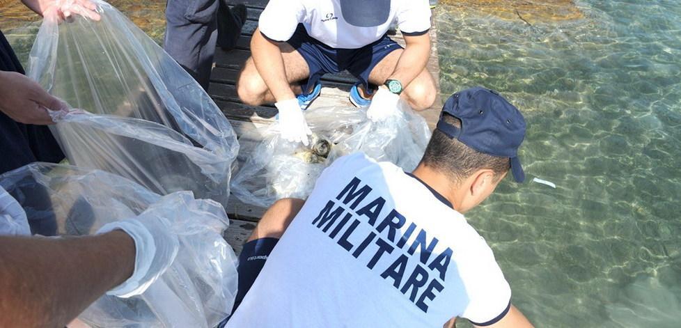I militari ripuliscono l’Isola Chiesa 