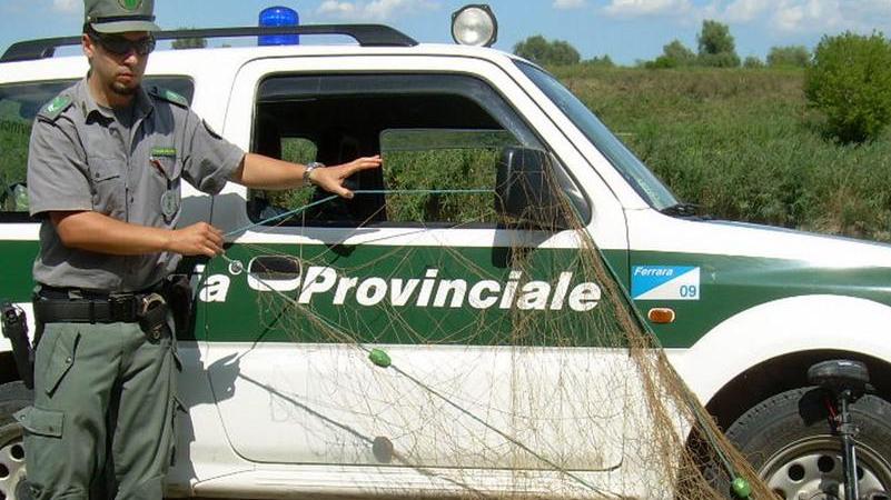 I pescatori di frodo non mollano