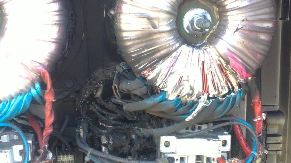 Le bisce spengono la luce in un'intera strada