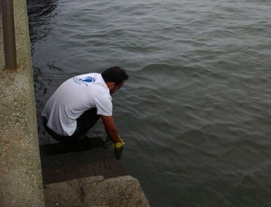 «Ma noi non verifichiamo la balneabilità delle acque» 