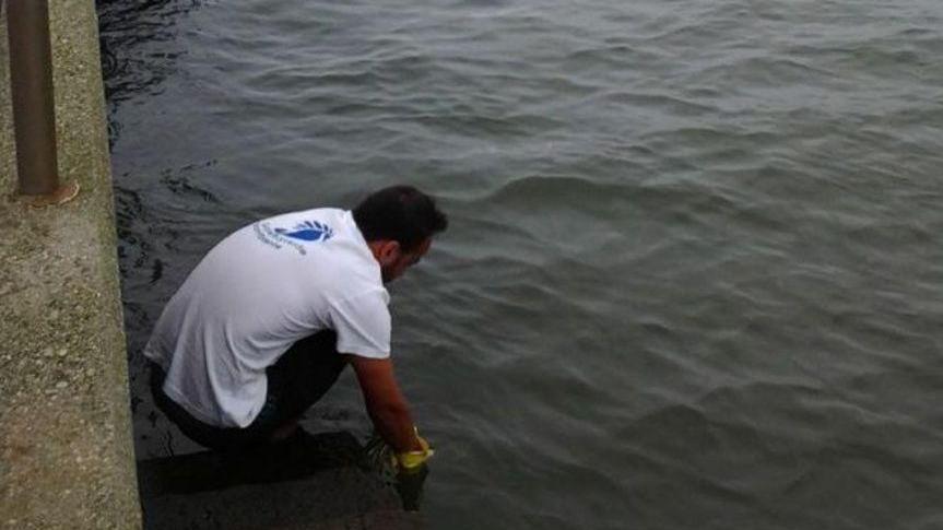 «Ma noi non verifichiamo la balneabilità delle acque»