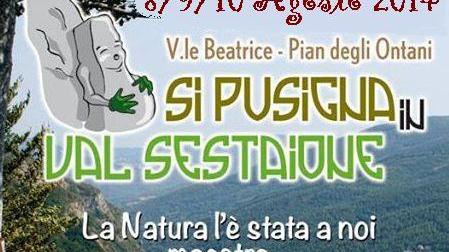 Si pusigna in Val Sestaione
