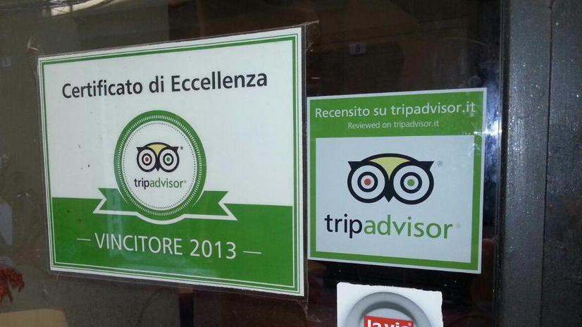 Scarafaggi nel ristorante in centro nonostante le lodi su Tripadvisor