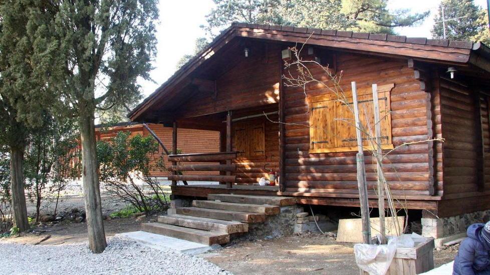 Tartaruga azzannatrice davanti ai Bagni Fiume