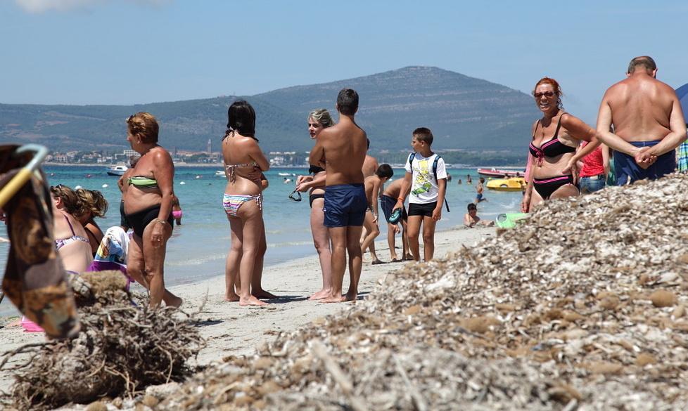 Cumuli di alghe sulla spiaggia libera