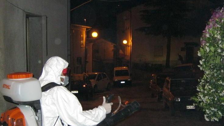 Chikungunya, allarme rientrato