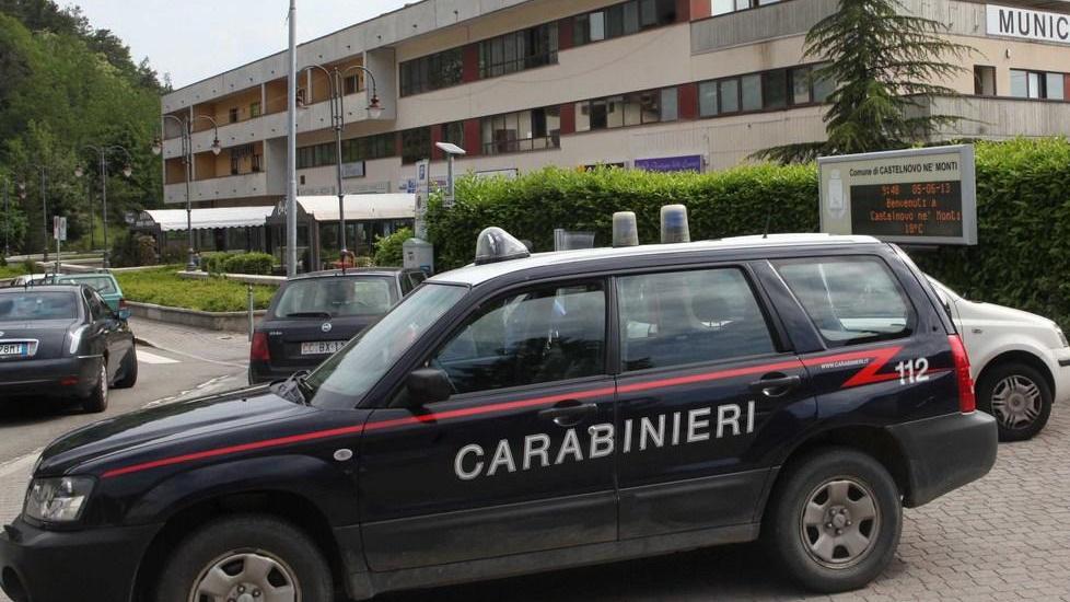 Uccide il gatto della vicina, denunciato