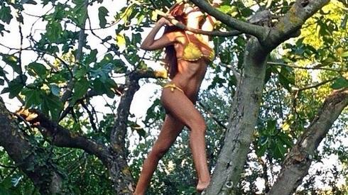Laura Torrisi, la bella raccoglitrice di fichi in bikini