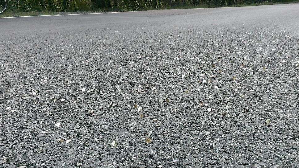Puntine «contro i ciclisti» gettate sull’asfalto a Regnano