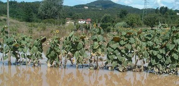 Rio Dogaia, confronto tra residenti e consorzio
