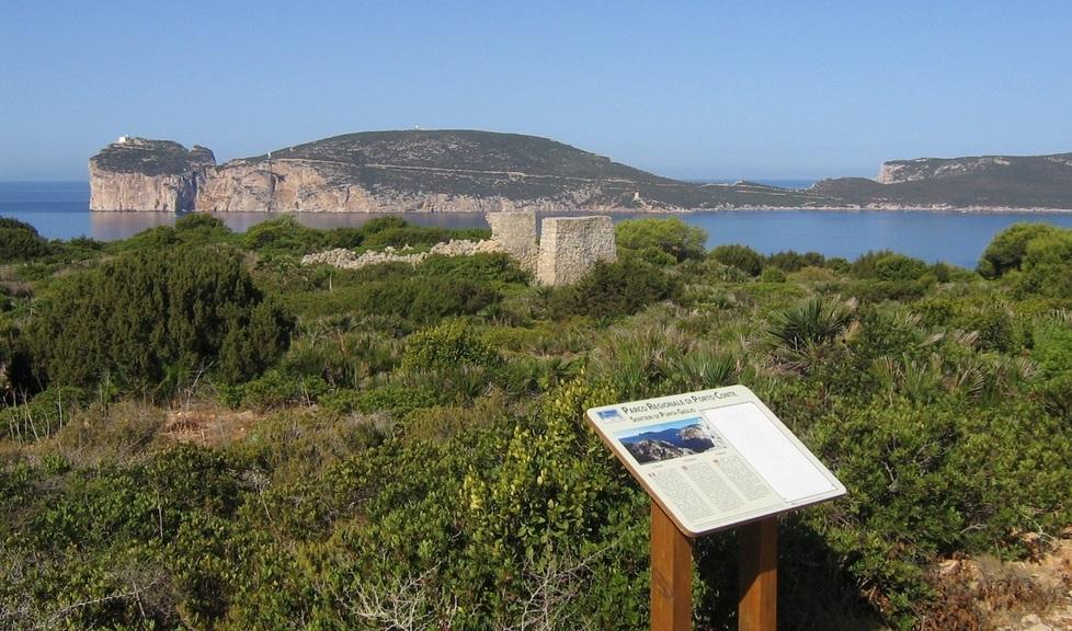 Porto Conte, un direttivo più snello 