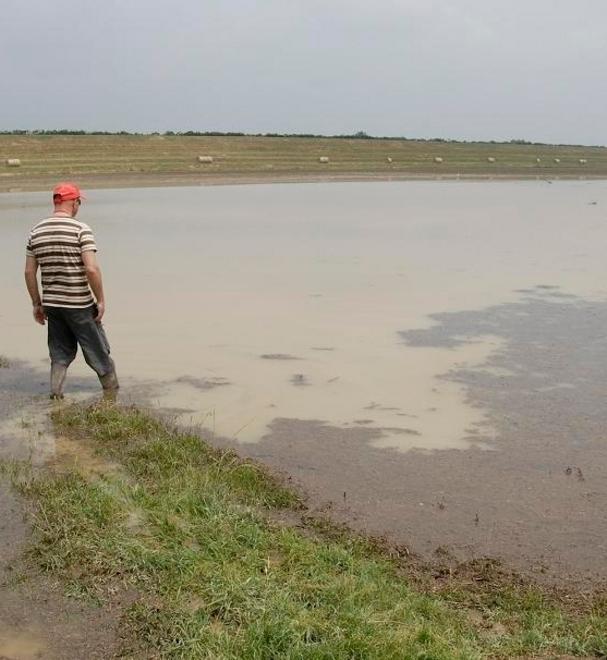 La pioggia d’estate ha danneggiato ortaggi, aglio e meloni 