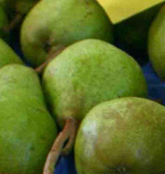 Export: l’embargo di Putin spaventa 