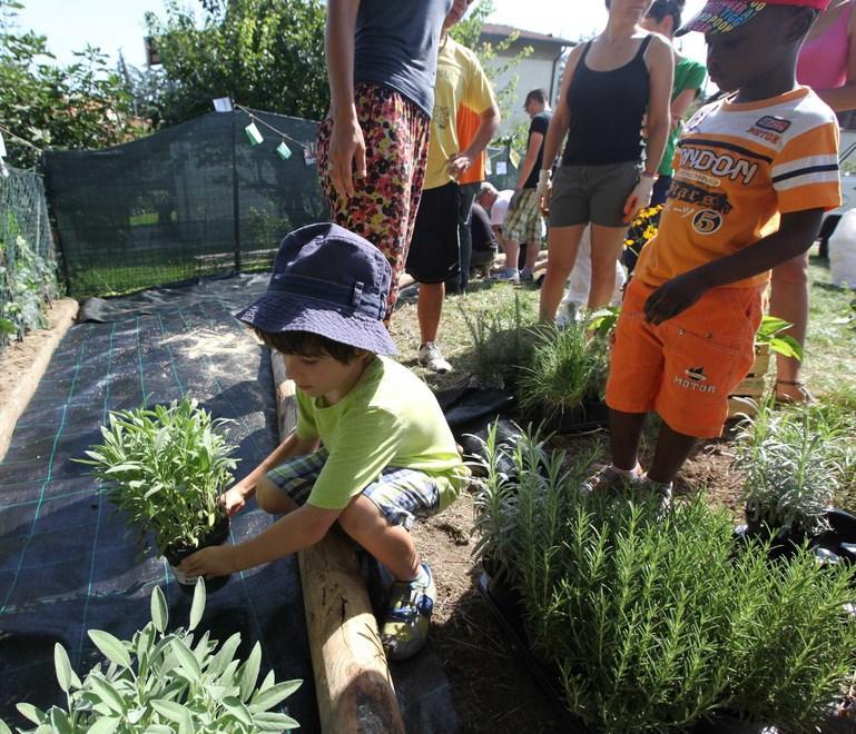 L’agricoltura urbana come antidoto al degrado