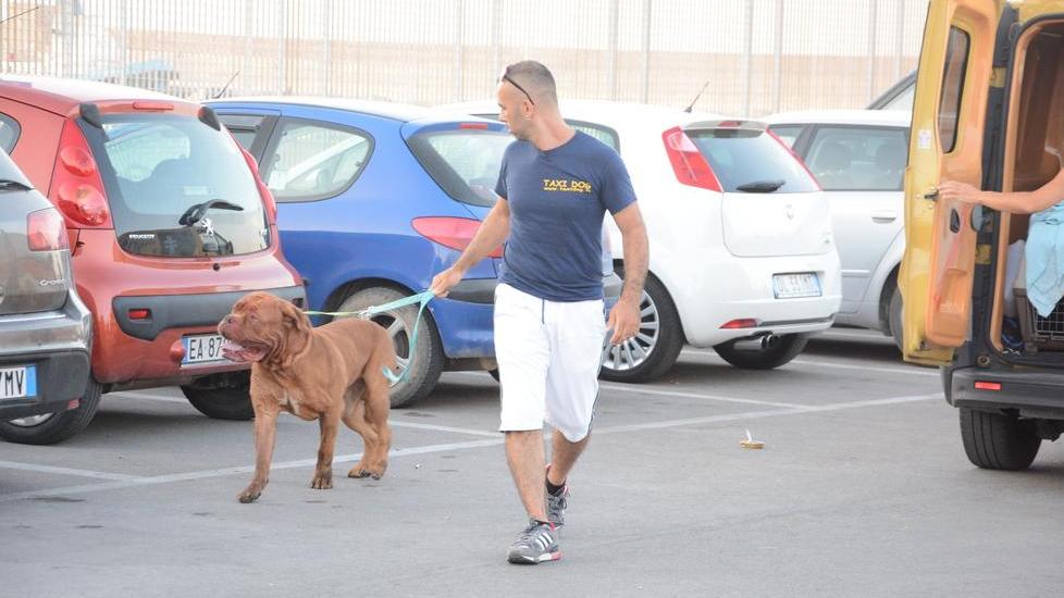 Aggrediti dal loro cane a Porto Torres, dimessi dall’ospedale