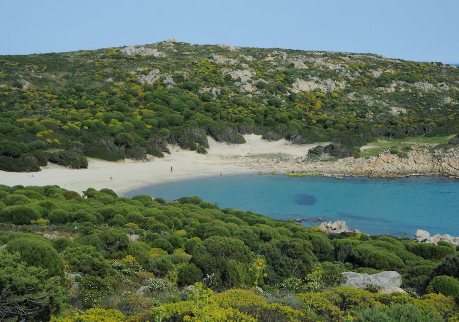 Surfista scomparso a Chia, appello a Tunisia e Algeria 