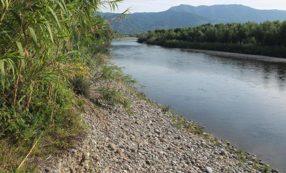 Il fiume si è mangiato i campi coltivati 