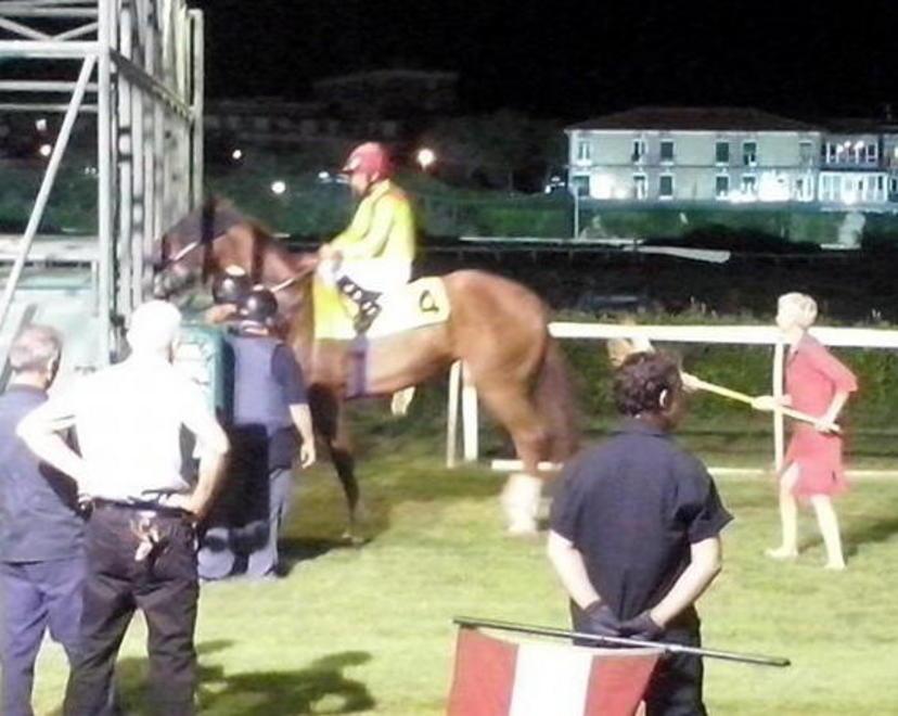 Una scopa per spingere il cavallo nel recinto 
