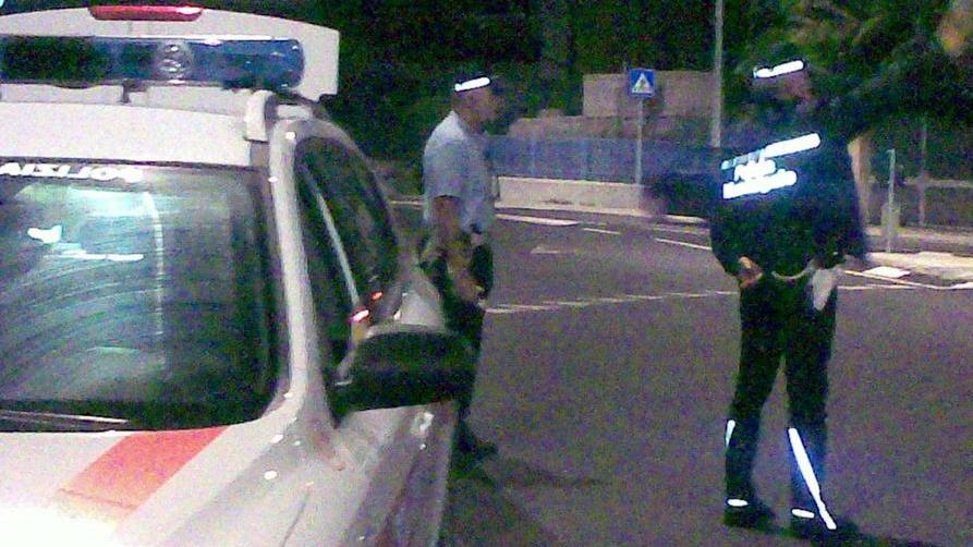 Anziano spara ai cani rumorosi: denunciato