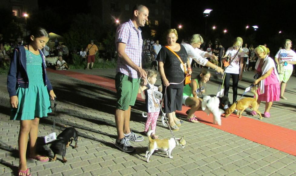 a lido nazioni star a 4 zampe