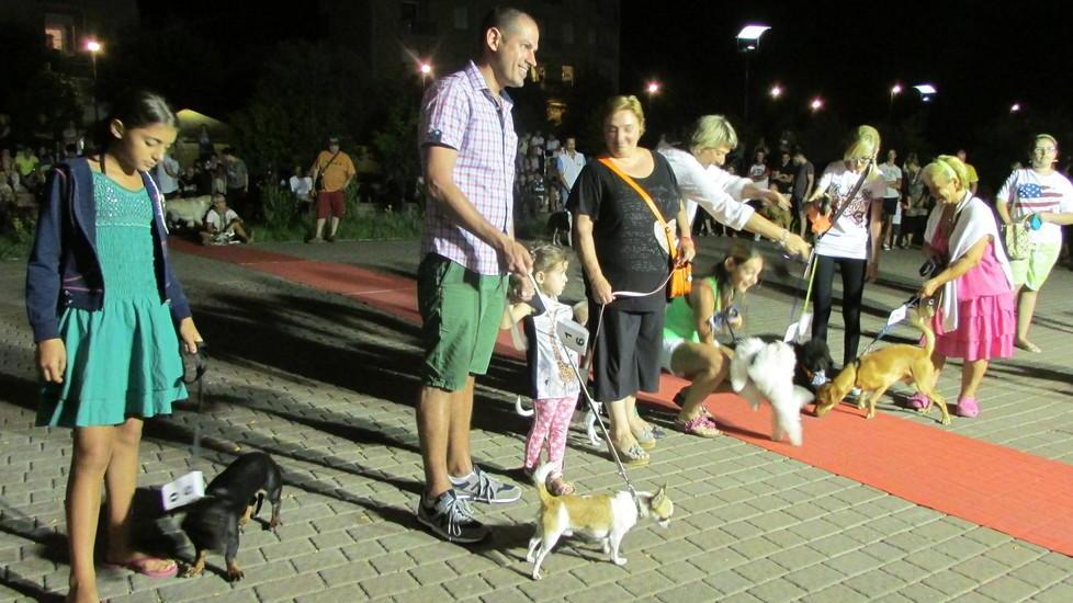 a lido nazioni star a 4 zampe
