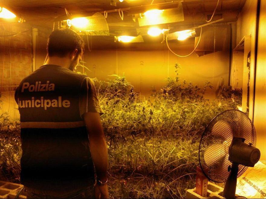 In garage a Prato coltivava marijuana, è stato arrestato 